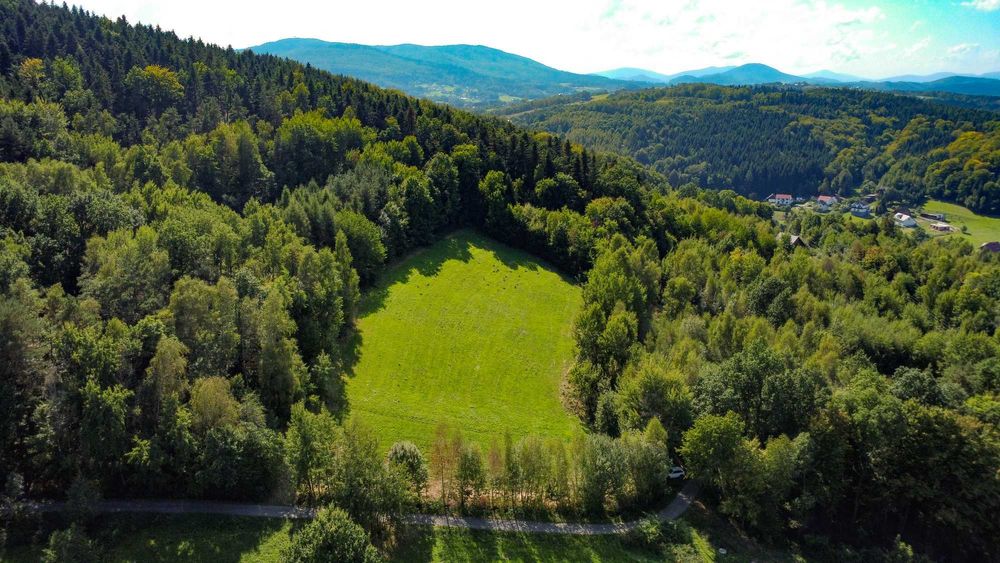 Dzialka 1 ha, Łąkta Górna