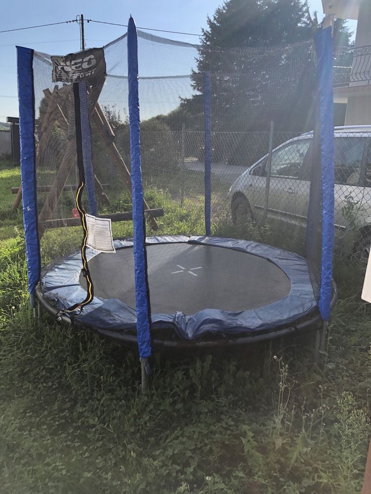 Trampolina 250cm