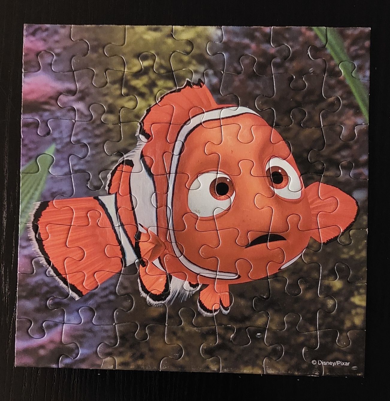 Puzzle Finding Nemo