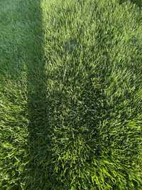 Trawa z rolki, trawnik rolowany, zielony dywan od PRODUCENTA