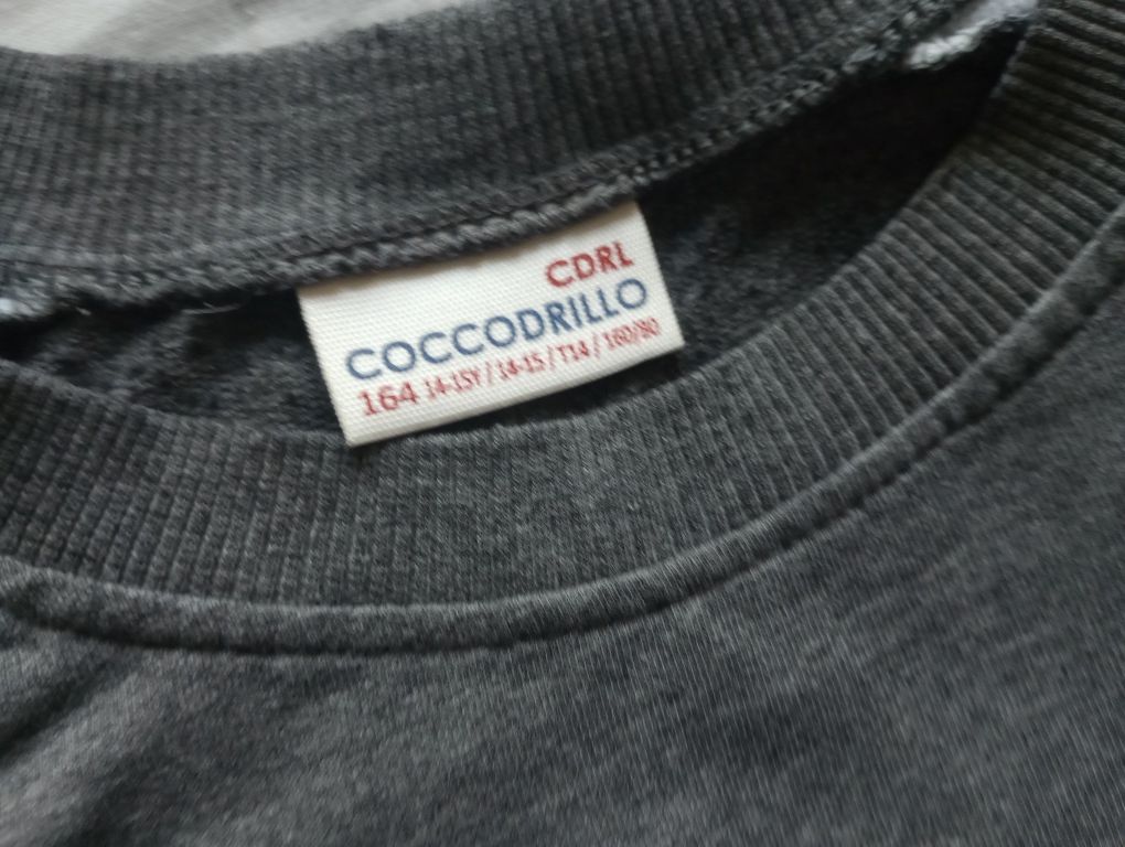 Bluza Cocodrillo