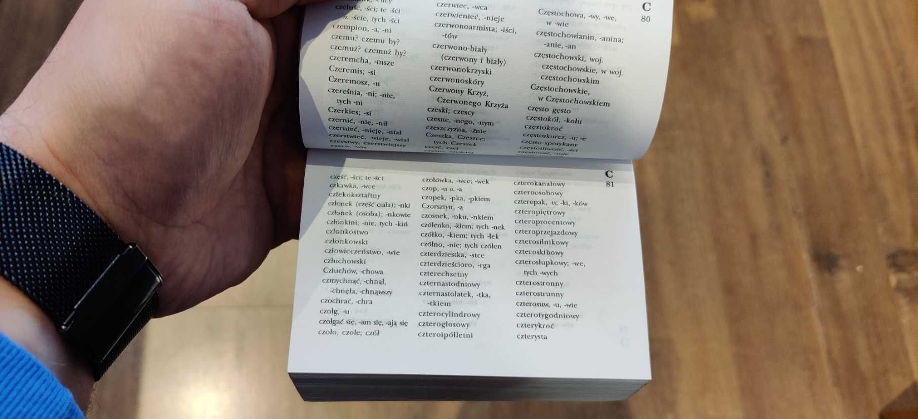 Kieszonkowy Słownik ortograficzny