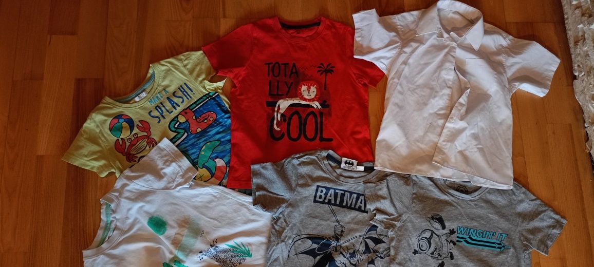 T-shirt dziecięcy rozmiar 110-116  zestaw 10 sztuk