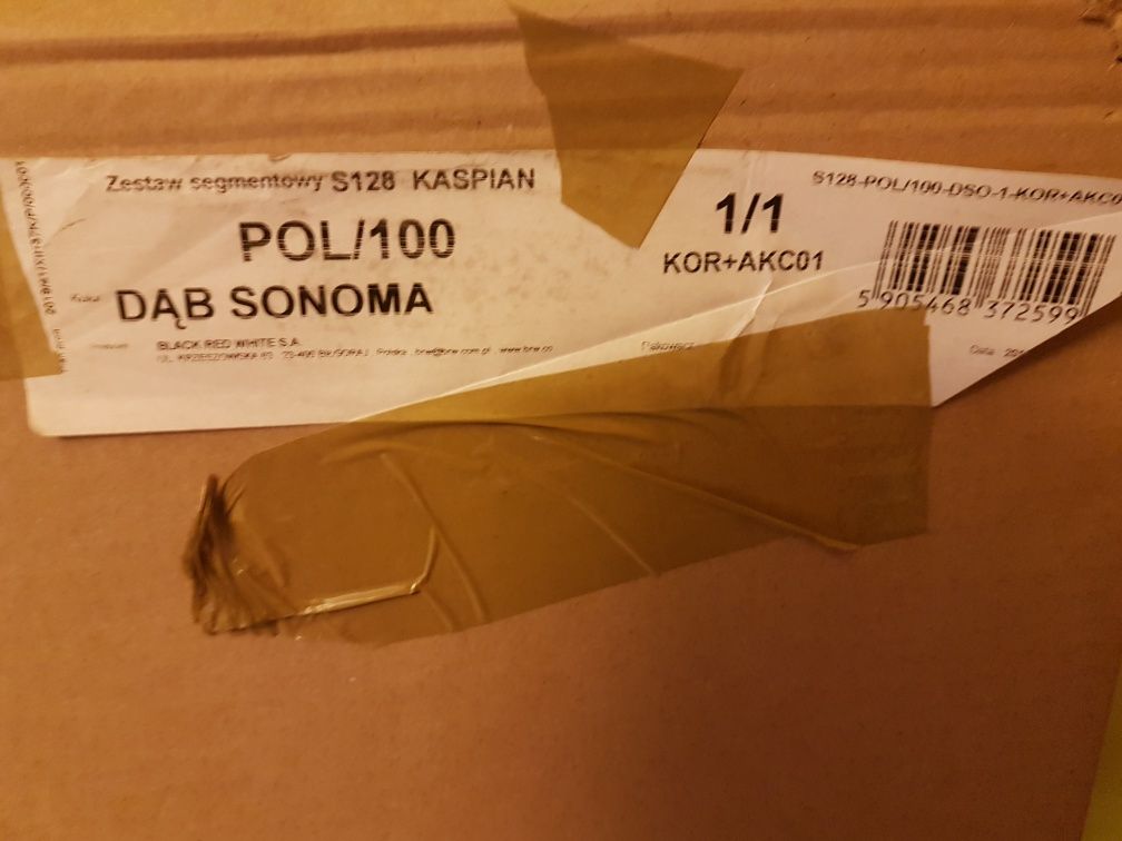 półka 100 Kaspian/ dąb sonoma