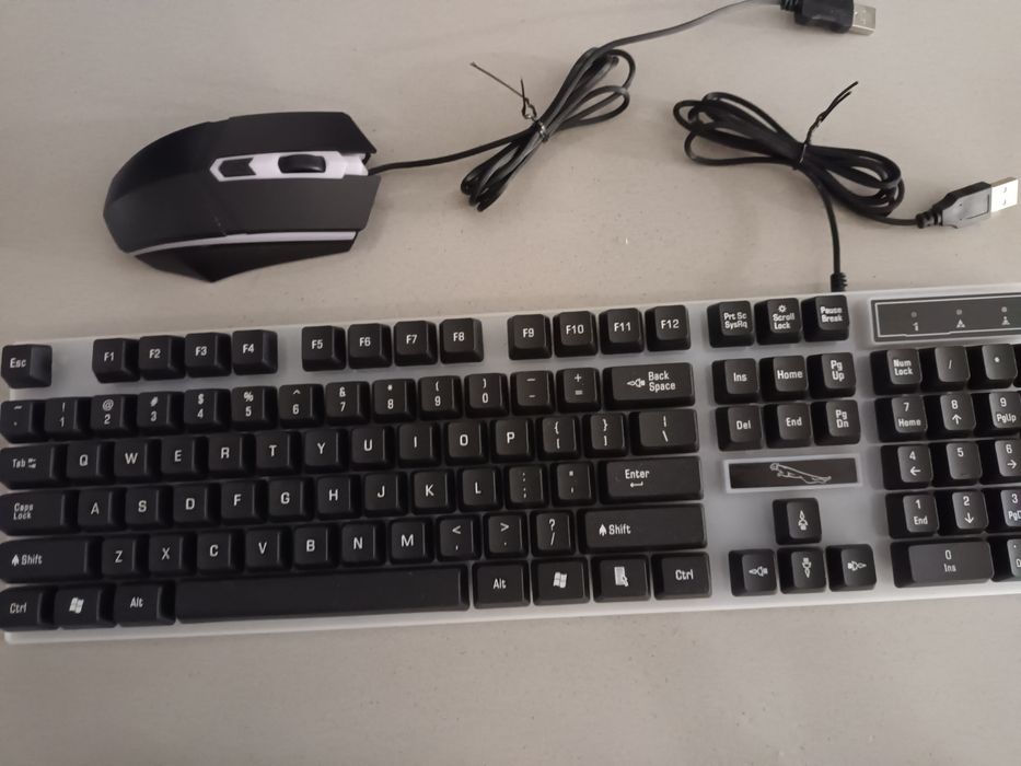 Rato e teclado..
