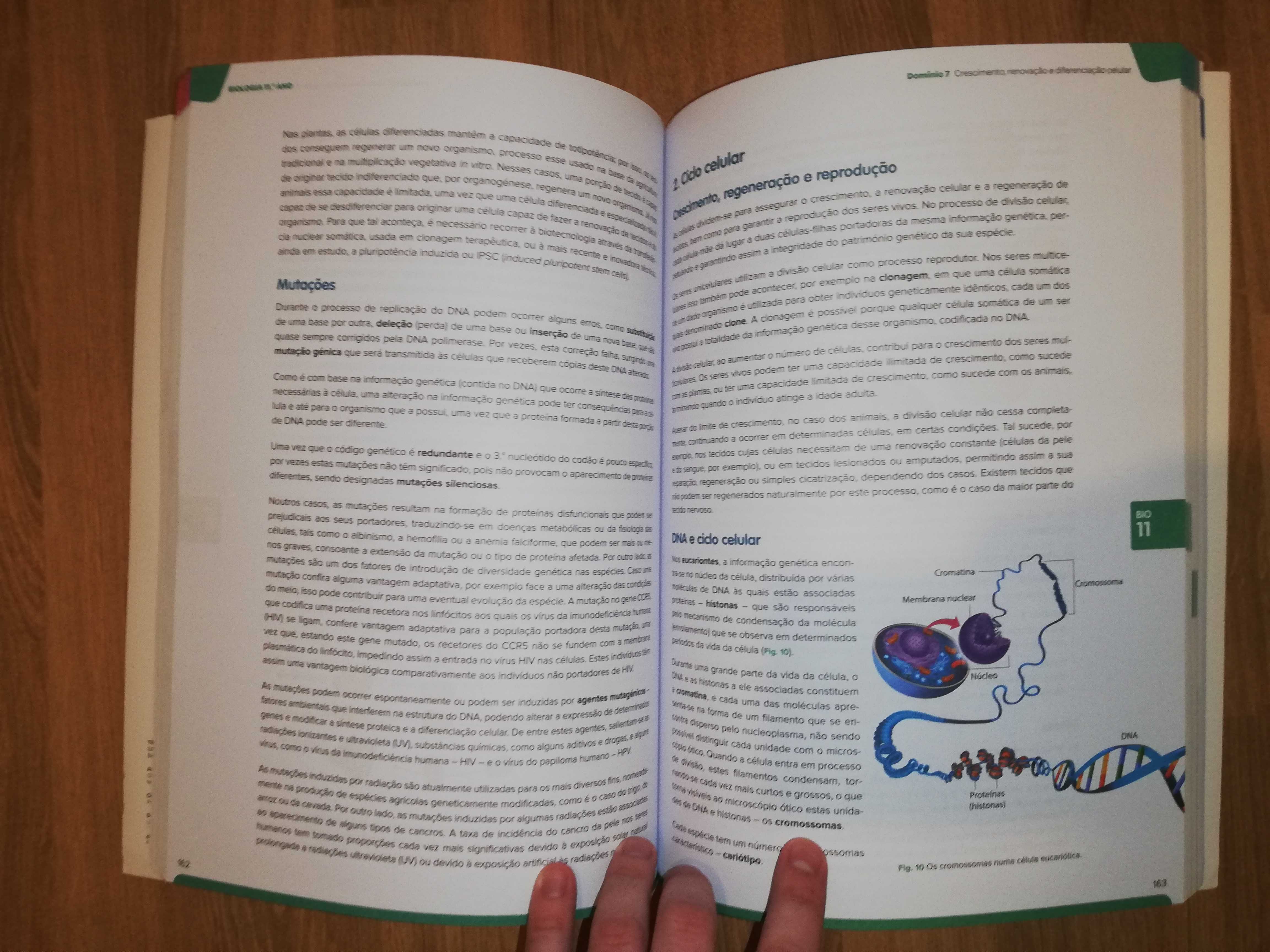 Exame 2024 Biologia e Geologia 11.º Ano (Preparação Exame) [NOVO]