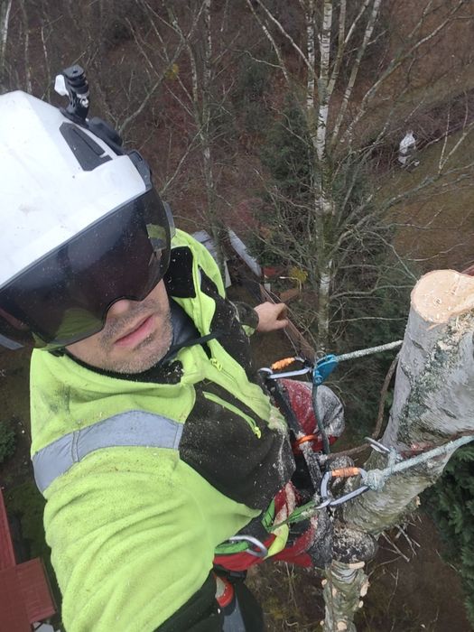 Wycinka drzew arborysta przycinka prace wysokościowe odśnieżanie