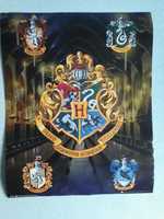 Plakat Harry Potter domy Hogwartu
