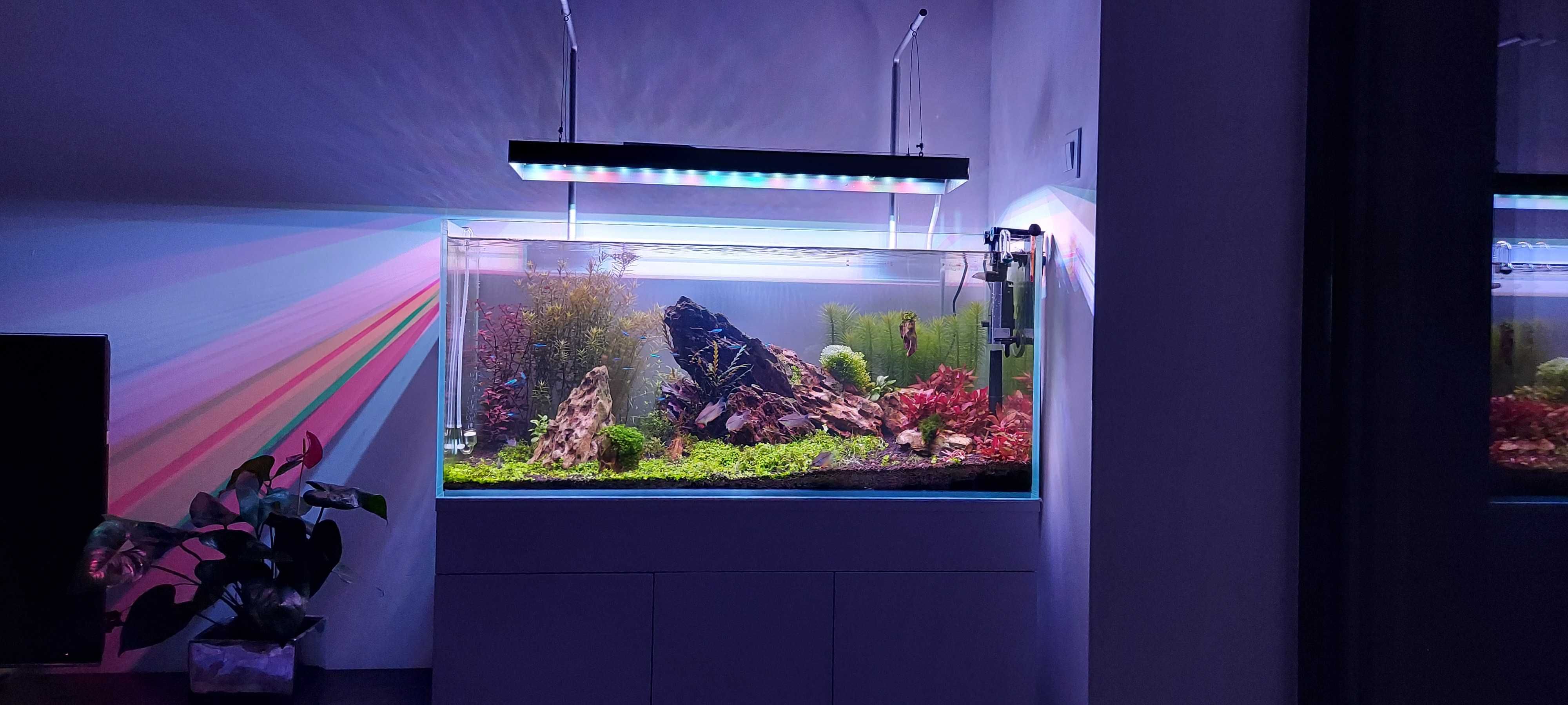 Filtr zewnętrzny Oase 350t do akwarium