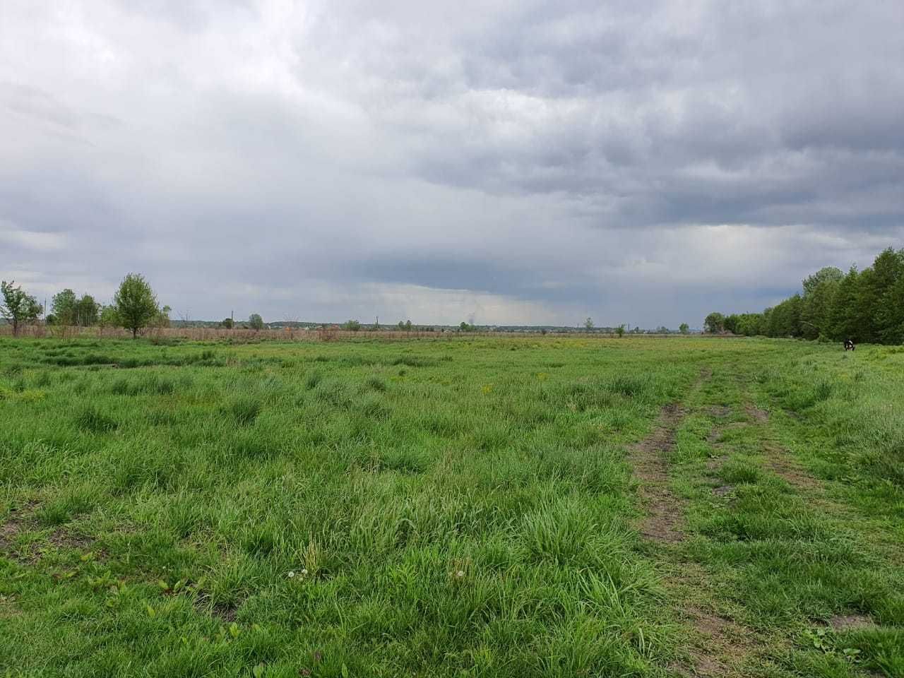 2,5 га, Вел Дмитровичі, Романков, Безрадичі, Підгірці, Обухівський р-н