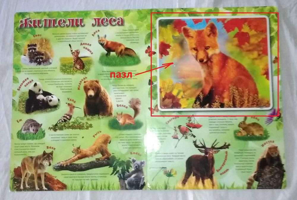 Большая книга-пазл. Красочная и яркая. Все элементы в наличии