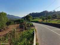 Terreno, Manhente