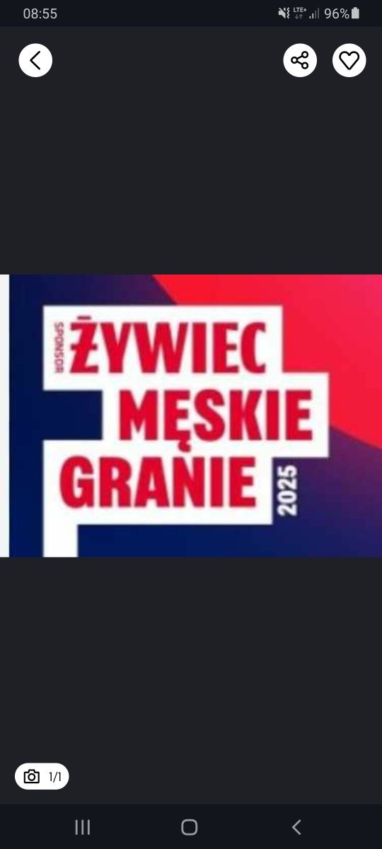 Męskie granie, Żywiec, koncert,e-kod dwuo.