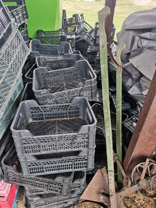 Skrzynki Casi plastikowe, owoce i warzywa