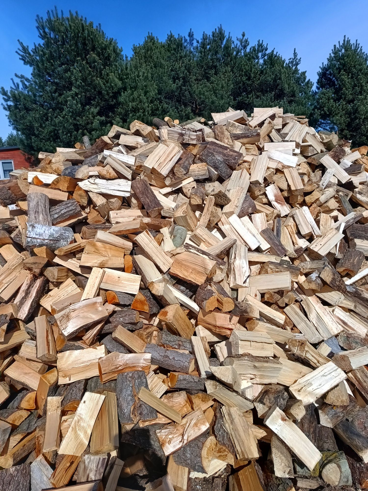 Łuparka do drzewa 8 ton 220 volt gniazdko