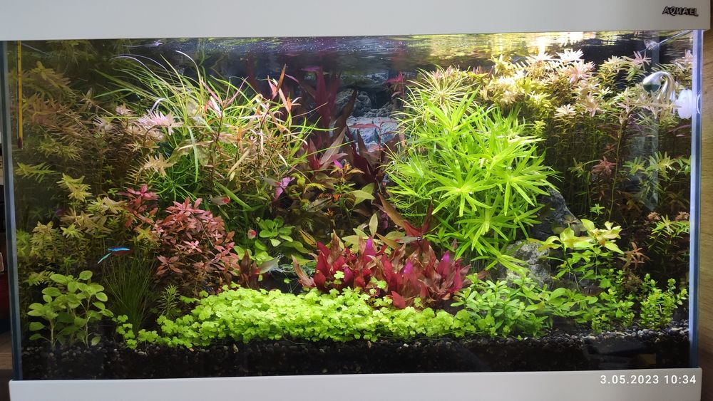 Akwarium Aquael Optiset 125 z szafką, filtrem Ultramax 1000 bez życia
