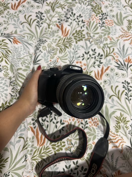 Canon EOS Rebel T6 Lente 18-55mm Lente Macro 100mm f/2.8