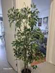 Planta artificial