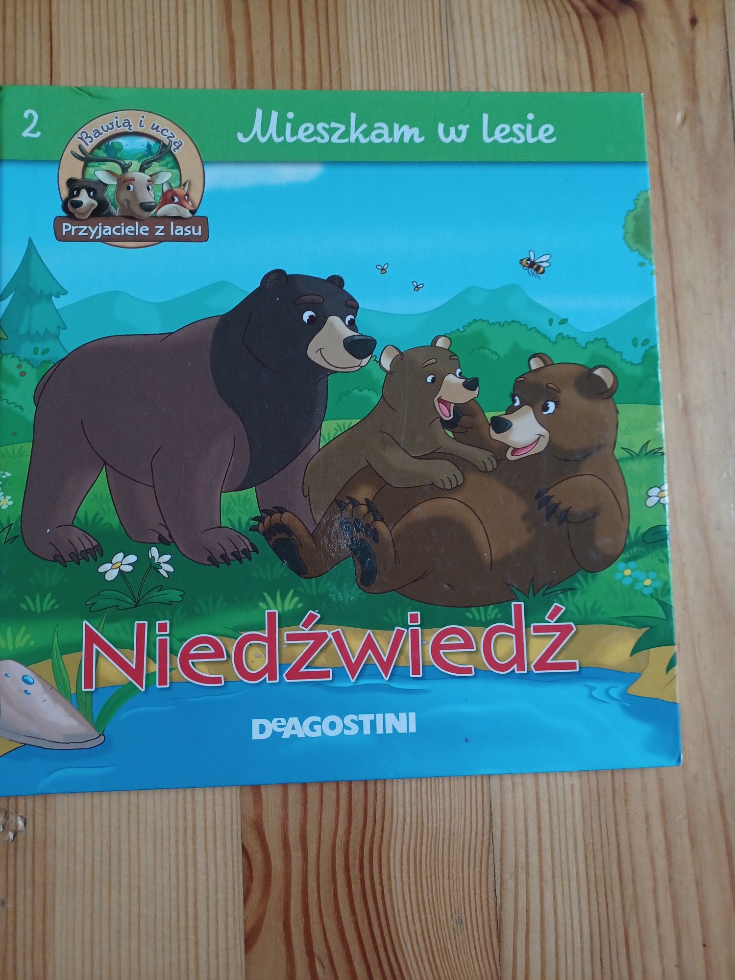 Mieszkam w lesie. Niedźwiedź