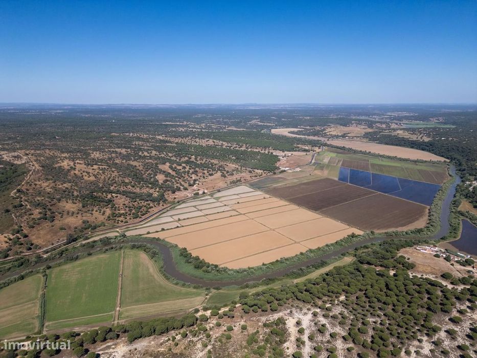 Herdade 145.6 ha, Álcacer do Sal, Alcacer do Sal