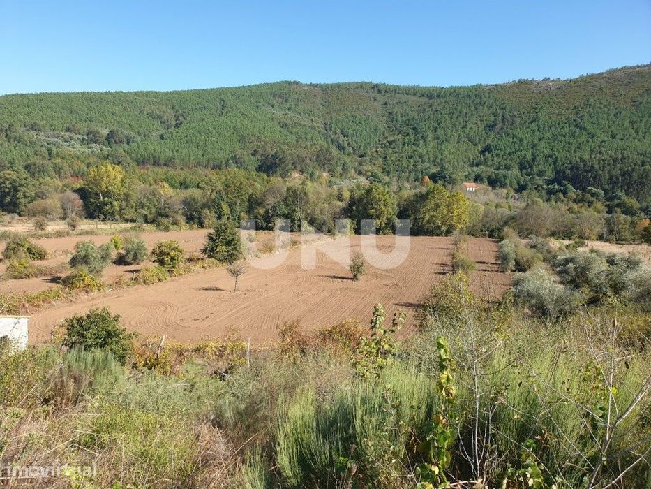 Excelente terreno localizado nas Taliscas, freguesia do Paul