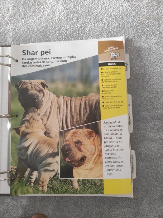 Os Cães da Planeta Agostini