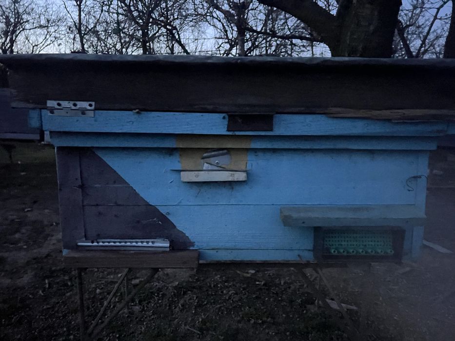 Вулики 24 рамочіна лежаки