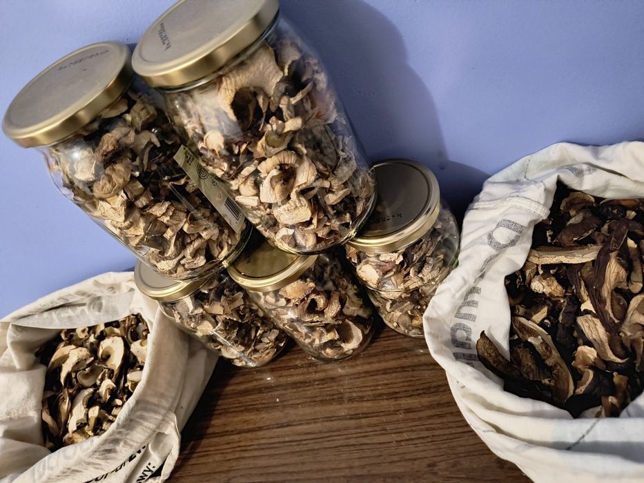 Grzyby suszone prawdziwki i podgrzybki