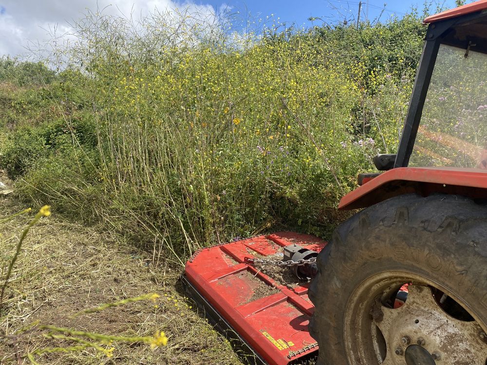 Servico Terraplanagem, limpezas terrenos, lavouras, remoção de entulho