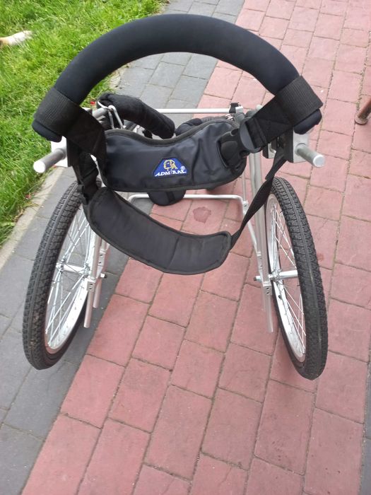 chodzik dla owczarka