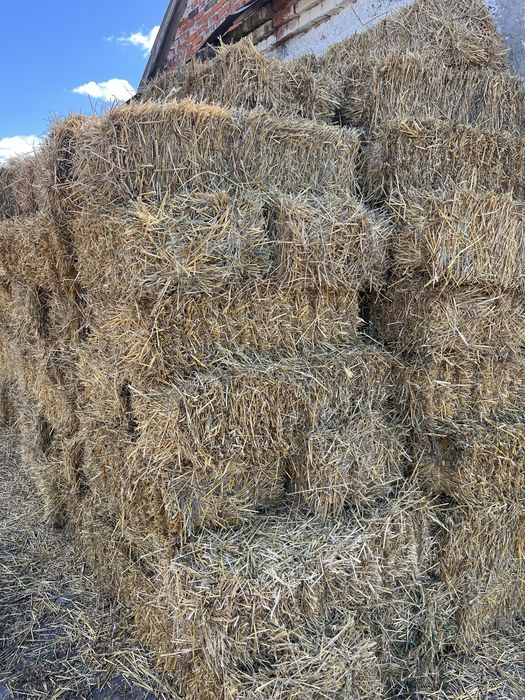 Тюки соломи з з пшениці та овса
