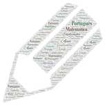 APOIO AO ESTUDO / Explicações - Português e  PLNM