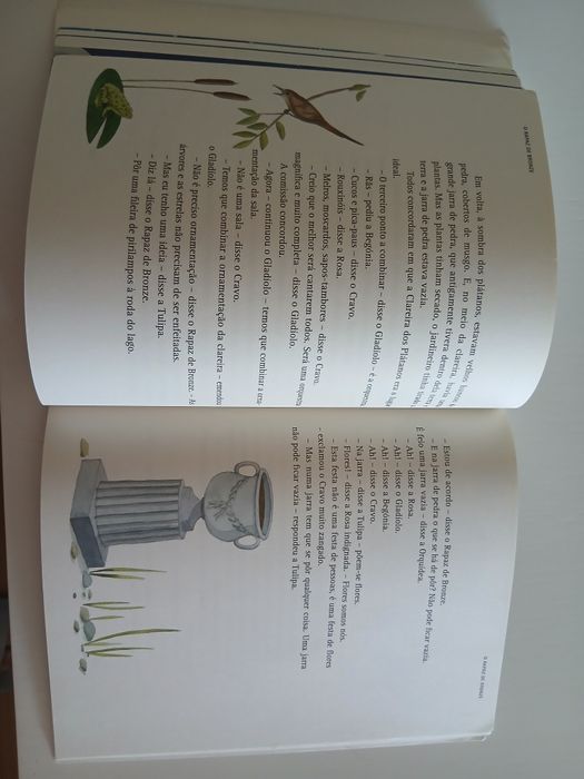 O Rapaz de Bronze- Plano Nacional Leitura 5°ano ótimo preço