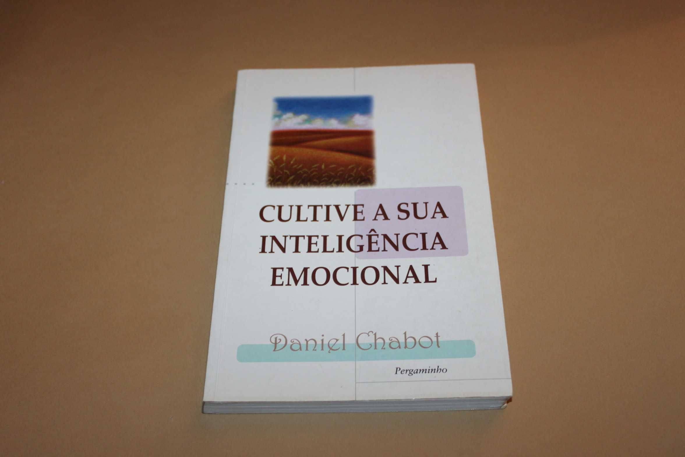 Cultive a sua Inteligência Emocional// Daniel Chabot
