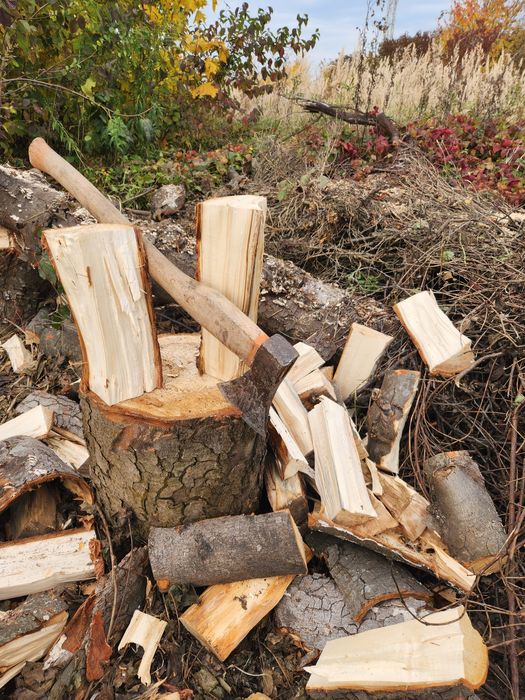 Дрова в мішках або насипом. Доставка.