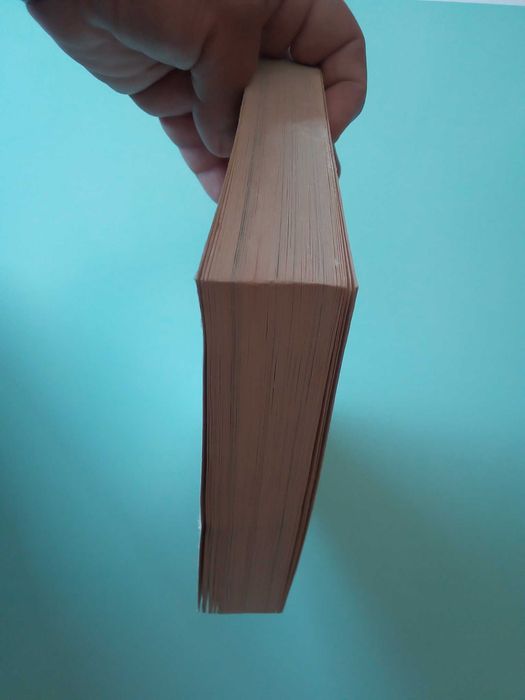 Livro "O Boxer", de Fiorenzo Fiorone