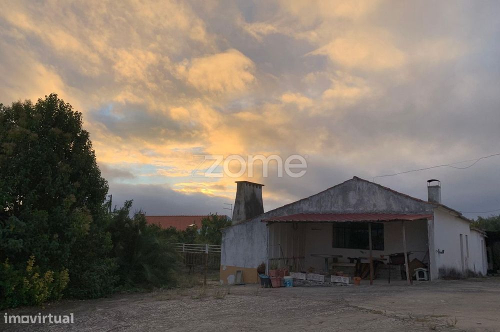 Quinta com Potencial em Santarém