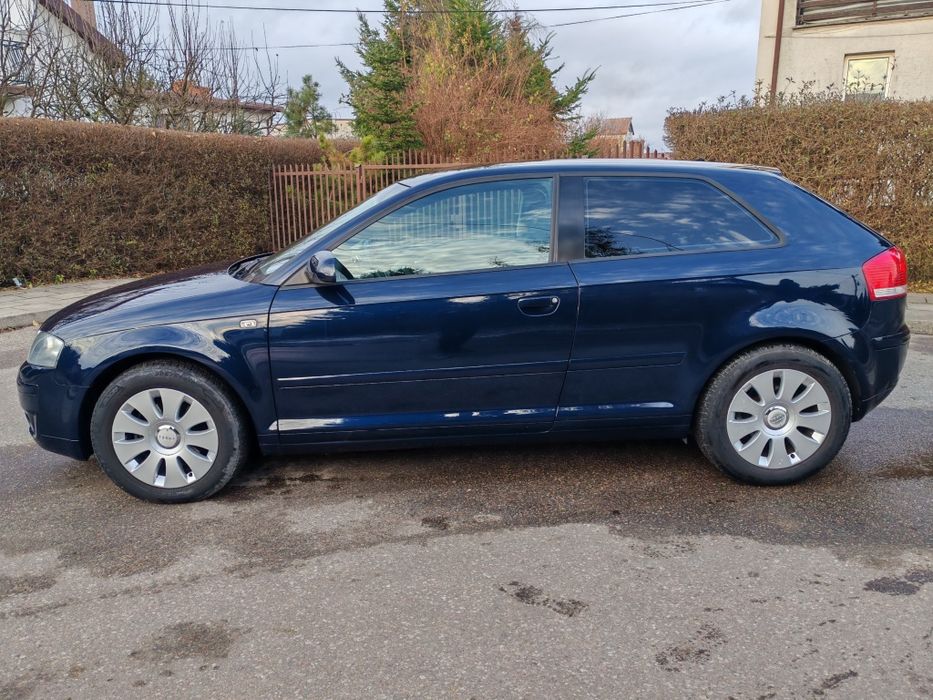 Audi A3 8P 1.6 MPI (102 KM), Benzyna, 2004 r.