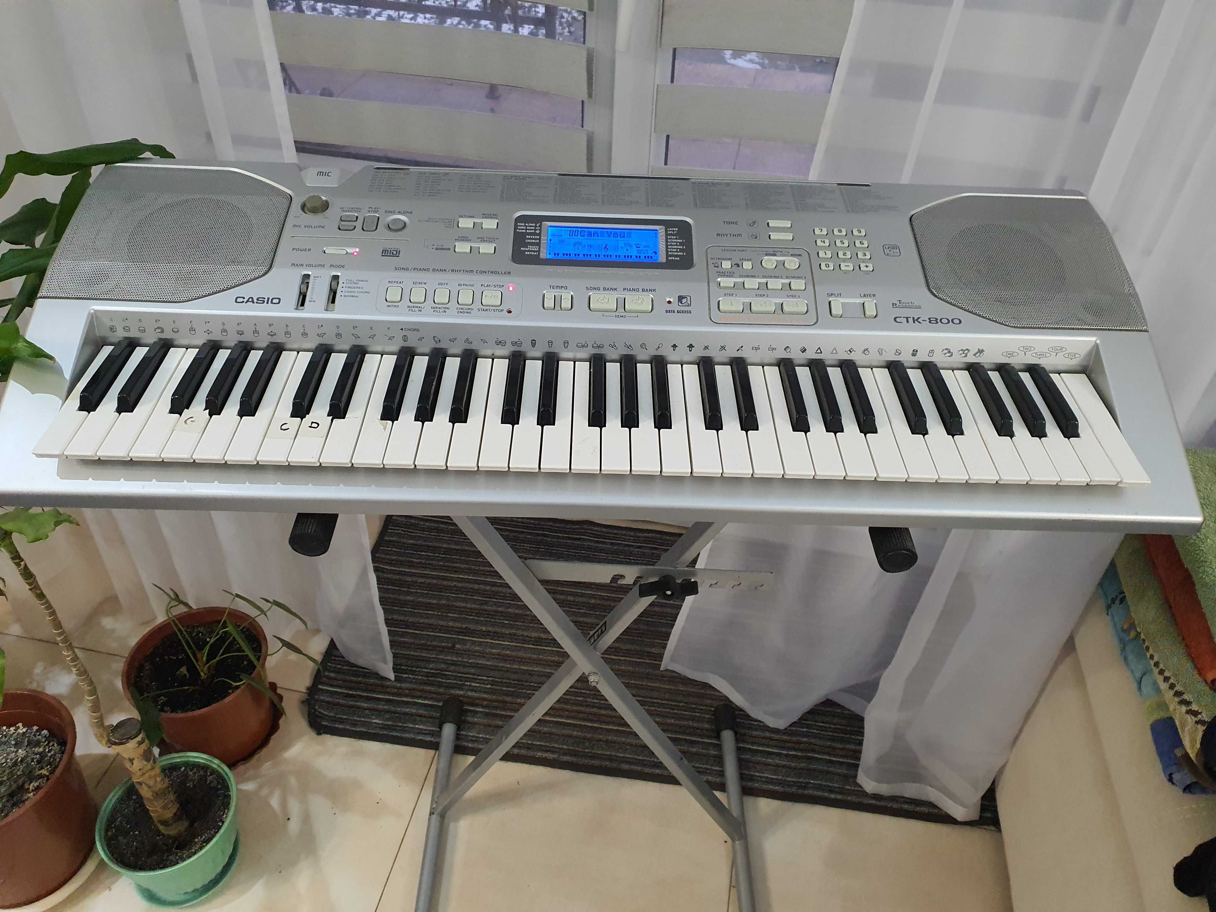 Синтезатор CASIO CTK-800