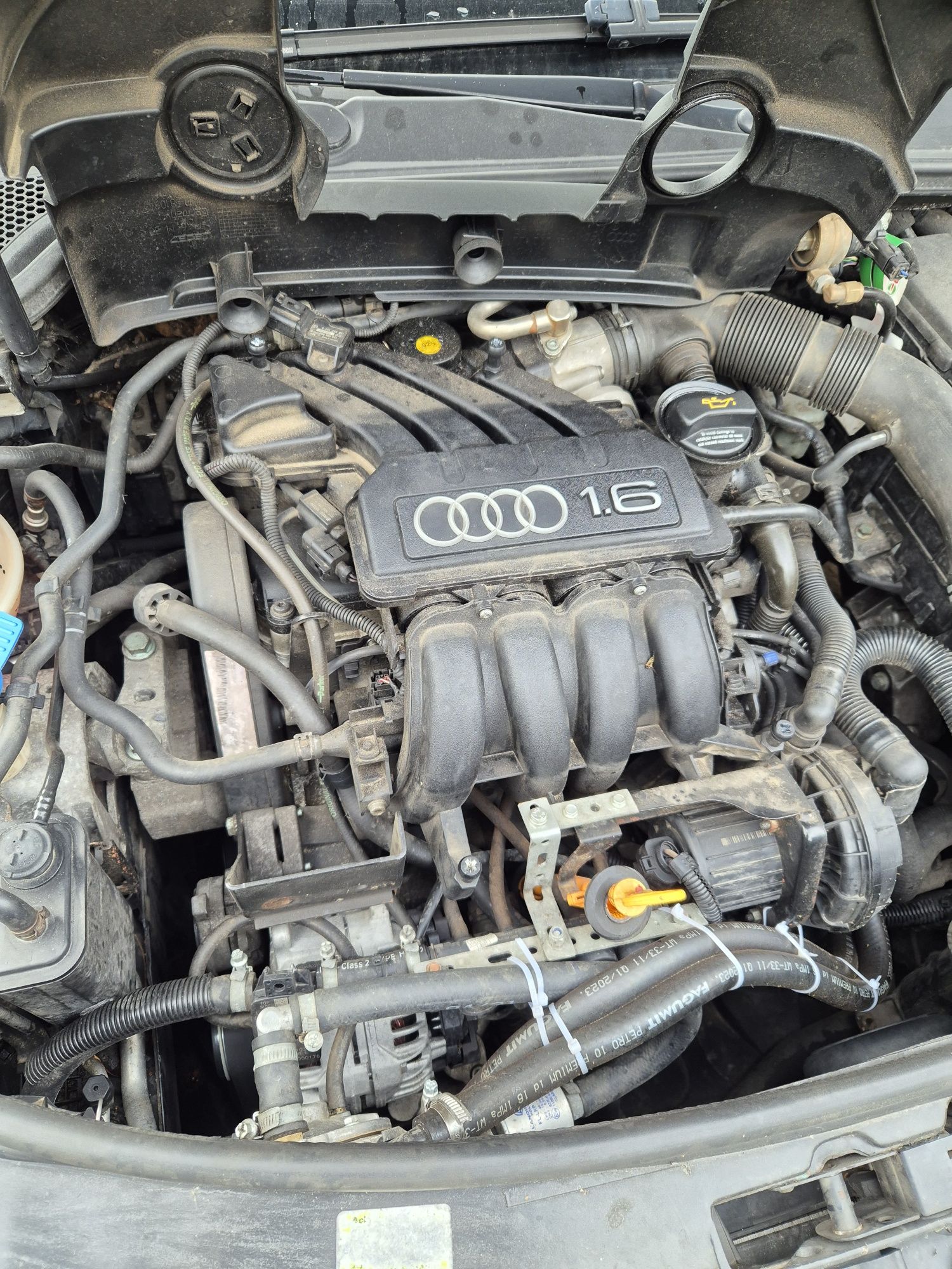 Silnik 1.6.mpi BGU BSE audi a3 8P