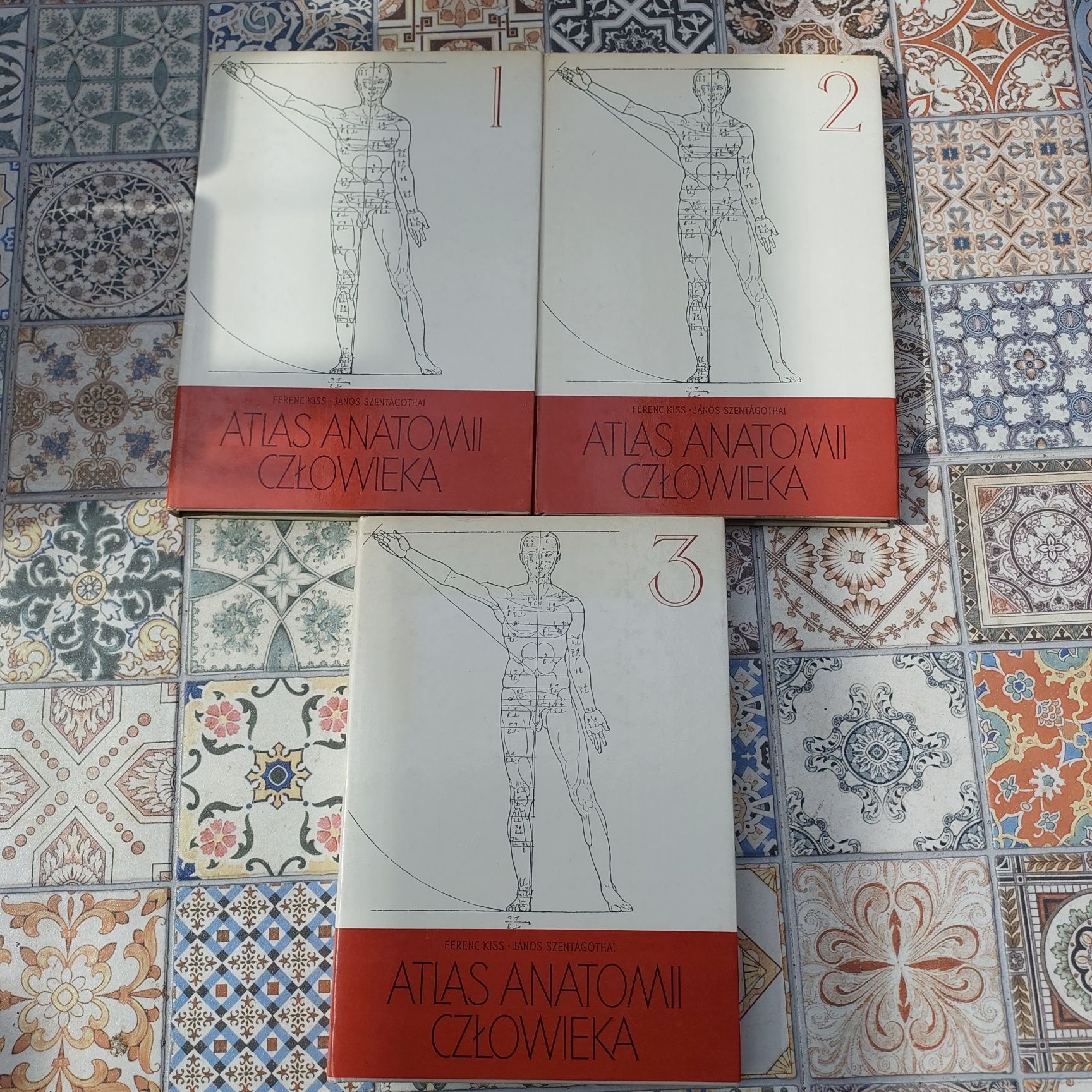 Atlas anatomii człowieka F.Kiss J.Szentagothai