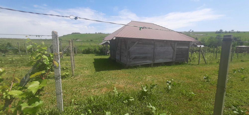 Продаж будинку, Тернопільська область, Монастириський район Швейків