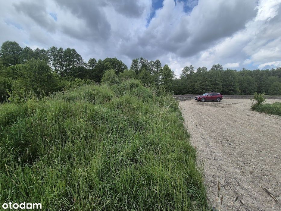 Sprzedam działkę – Kolonia Brzeziny Wielkie , gm. Poczesna