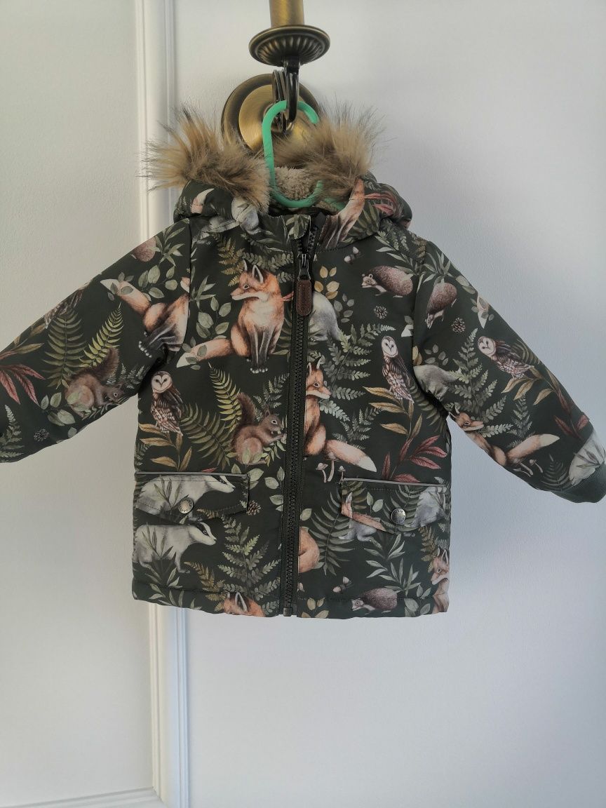 Kurtka Newbie lisy r. 80