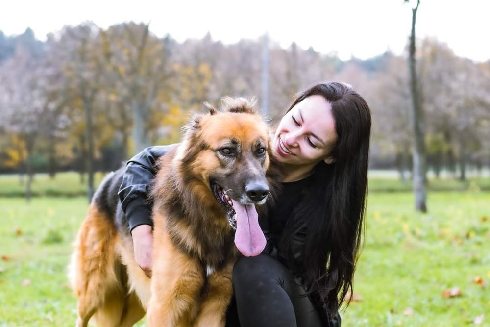 Kochający człowieka psiak w typie Owczarka niemieckiego szuka domku!