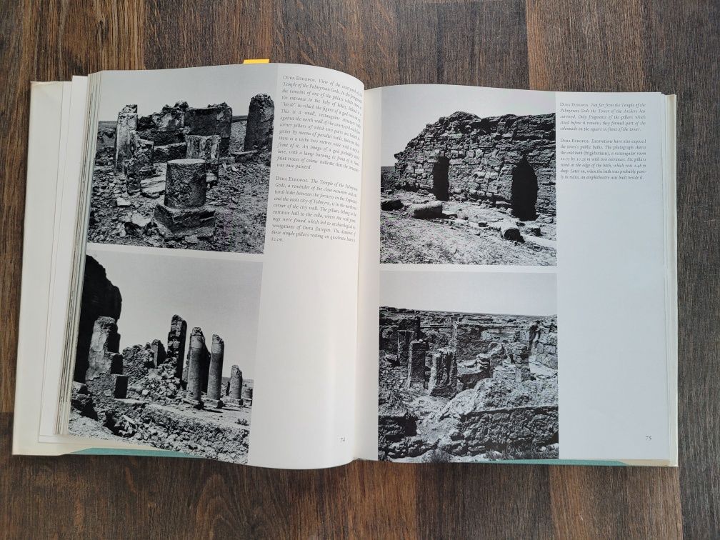 2863. "The Art of ancient" Syria (język angielski))