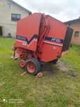 Sprzedam prase feraboli FF 55H