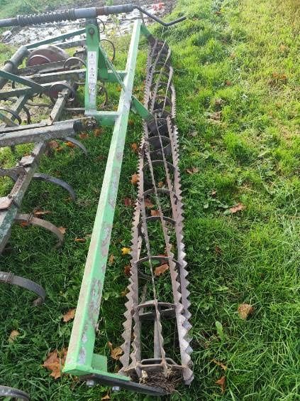 Sprzedam byczka ze zdjecia