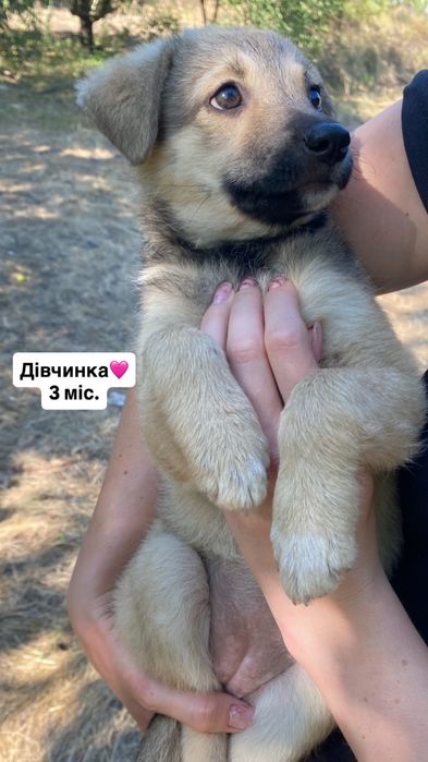 Девочка ищет заботливые ручки