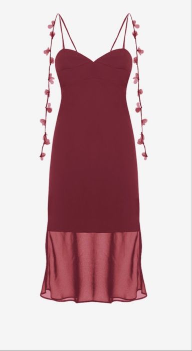 Сукня з ліанами Шипелик бурякова